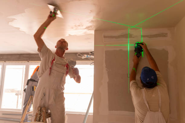 Best Drywall Sanding and Smoothing  in Nixa, MO